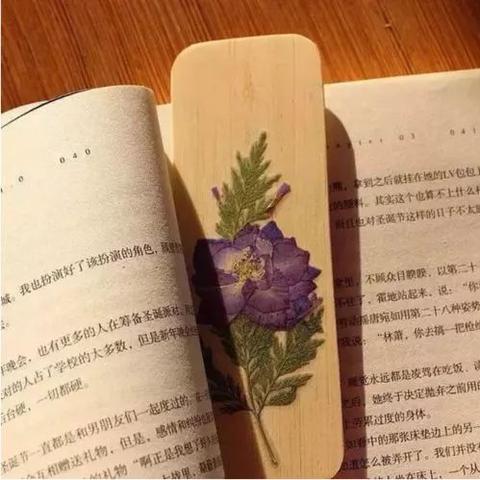 淄博天气预报15天，春日天气多变，出行需留意