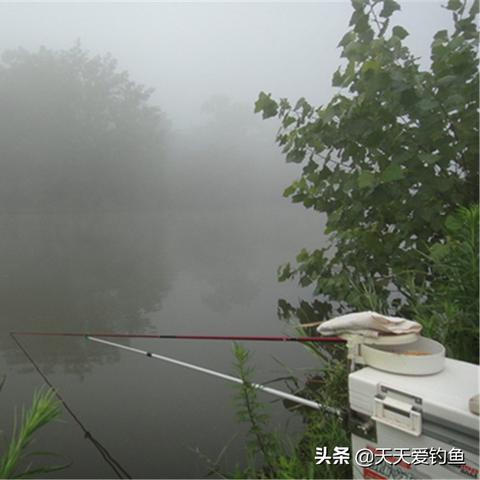 钓鱼专用天气软件，精准气象，助你爆护而归