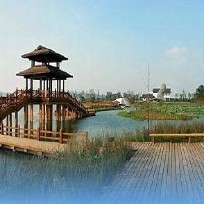 长沙下雨影响旅游吗？一场雨中的山水洲城，反而更值得一游