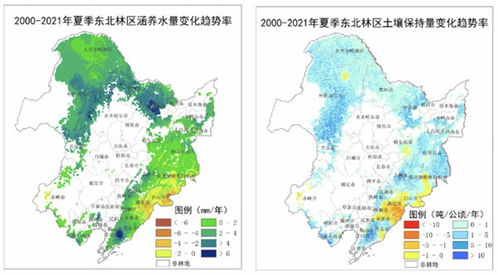 梵净山天气预报,云端之上的气候密码与旅行指南 梵净山天气预报,云端之上的气候密码与旅行指南