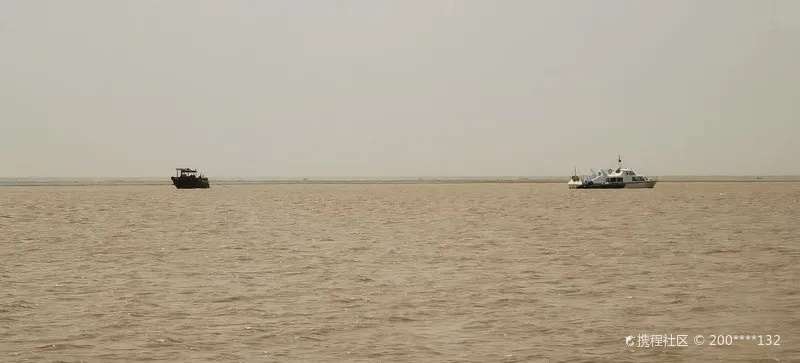 东营天气,黄河入海处的温柔与倔强 东营天气,黄河入海处的温柔与倔强