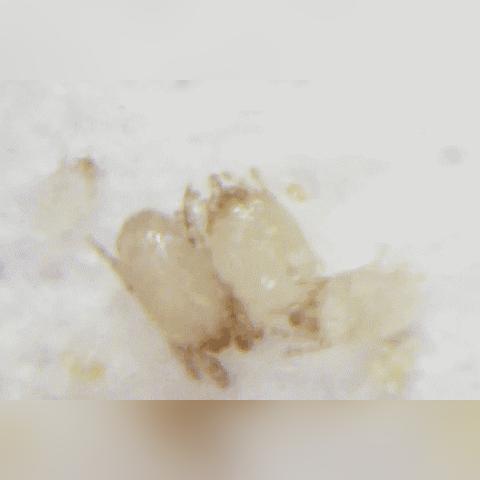 48小时逐小时天气预报,精准规划生活的时间显微镜 48小时逐小时天气预报,精准规划生活的时间显微镜