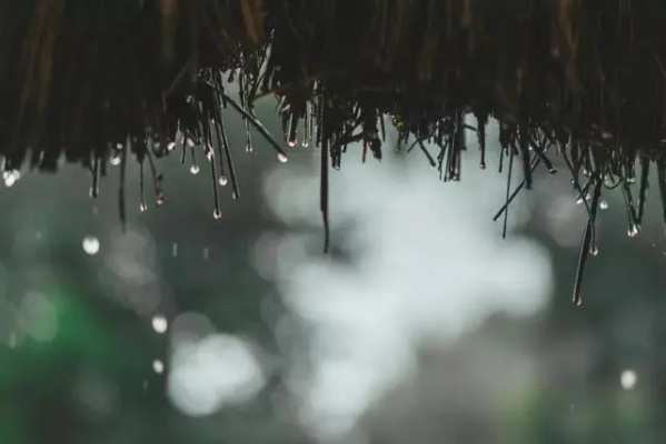 听雨问时，一场从清晨到午后三刻的独白