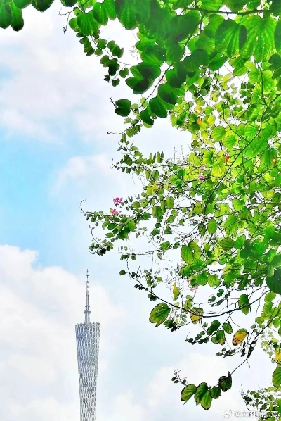 广州天气，一座城市的热烈与温柔